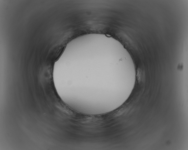 X0000092071107200710101012