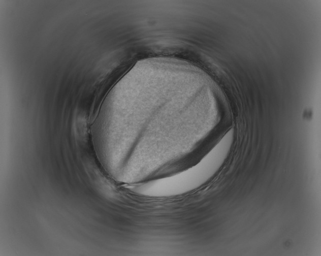 X0000092071108200710101012