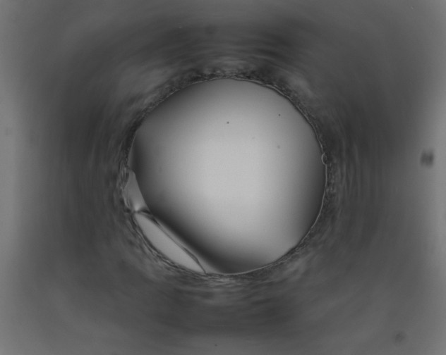 X0000092071109200710101012