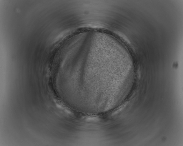 X0000092071110200710101012