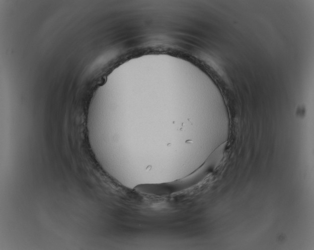 X0000092071111200710101012