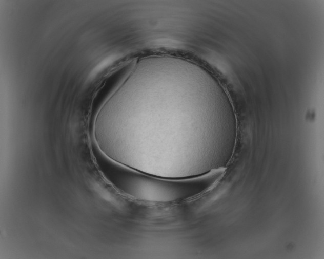 X0000092071112200710101012