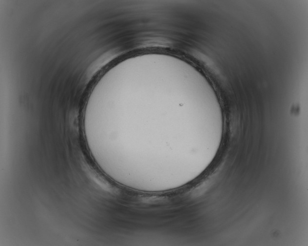 X0000092071113200710101012