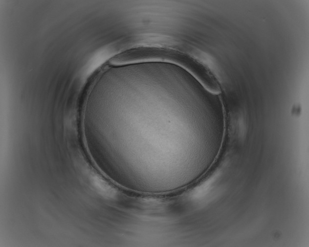 X0000092071114200710101012