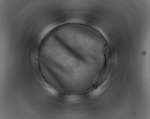 X0000092071115200710101012