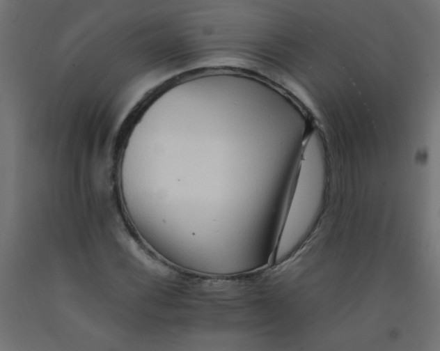 X0000092071116200710101013