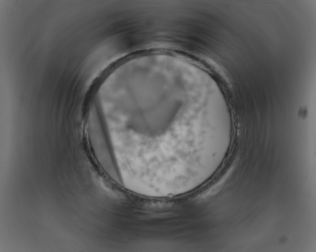 X0000092071117200710101013