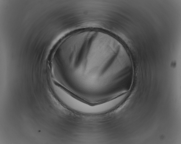 X0000092071118200710101013