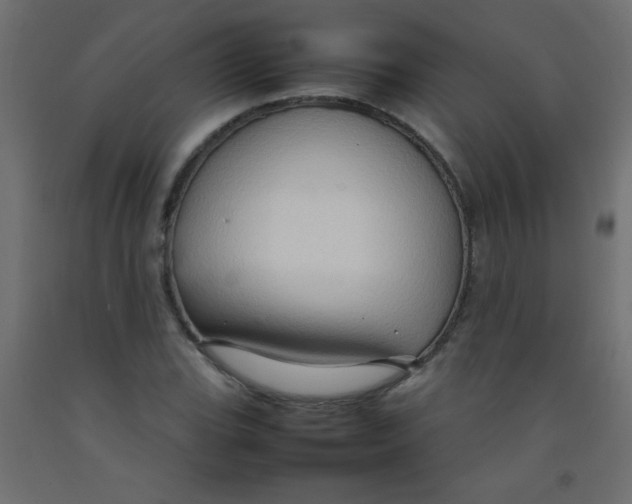 X0000092071119200710101013