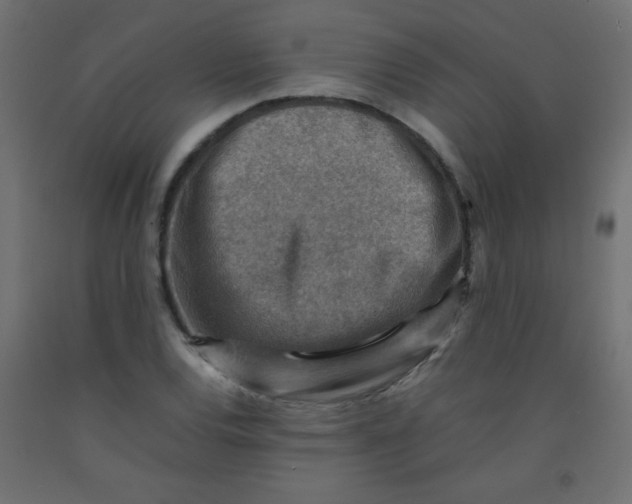 X0000092071120200710101013