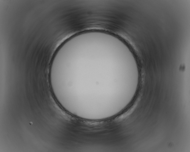 X0000092071121200710101013