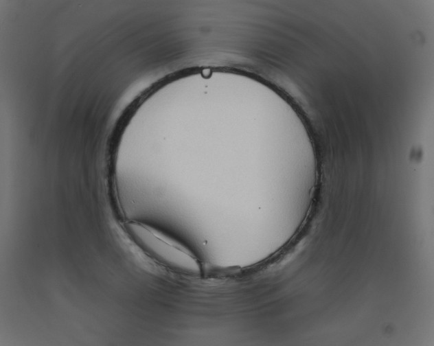 X0000092071122200710101013