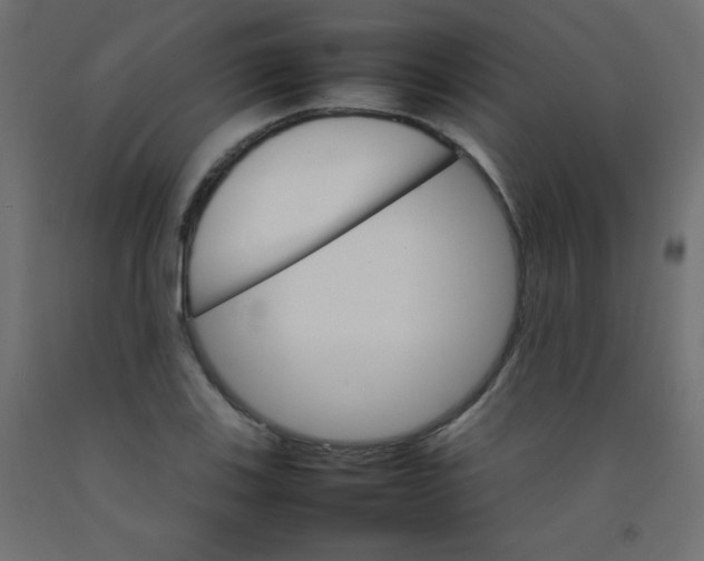 X0000092071123200710101013