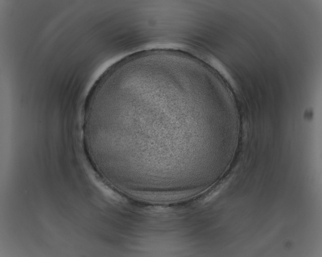 X0000092071124200710101013