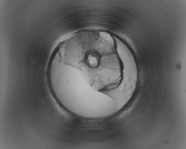 X0000092071125200710101013