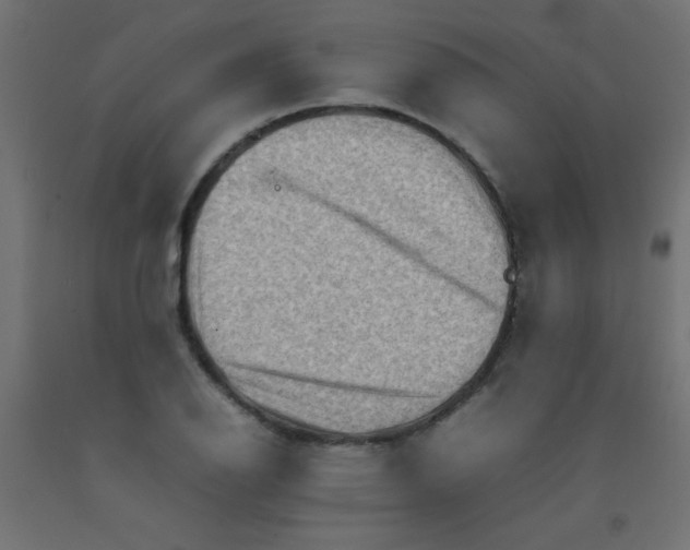 X0000092071126200710101013