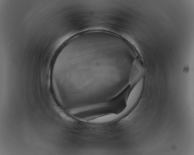 X0000092071127200710101013