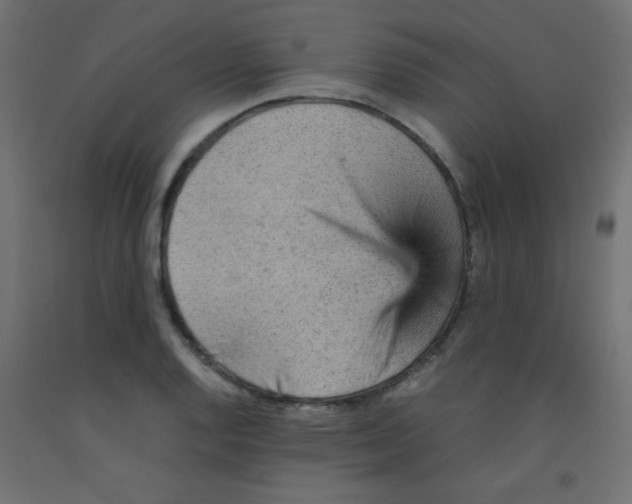 X0000092071128200710101013