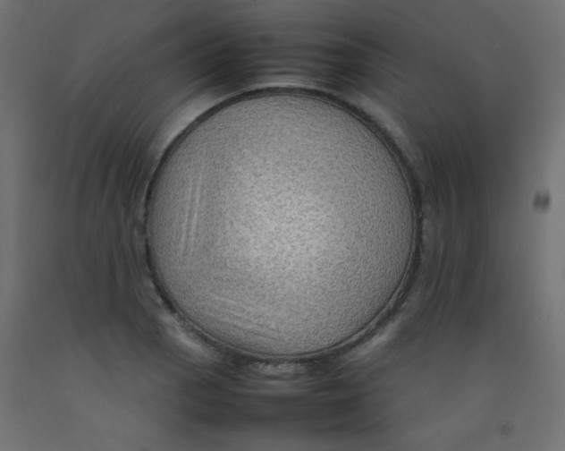 X0000092071129200710101013