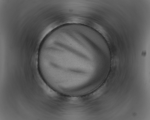 X0000092071130200710101013