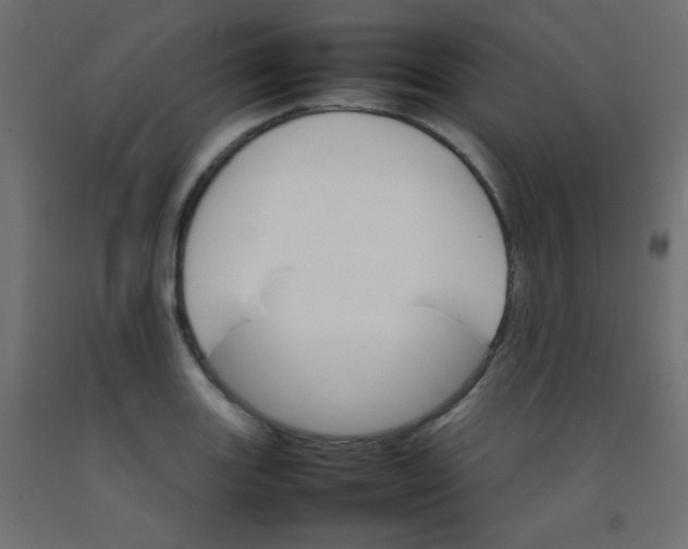 X0000092071131200710101013