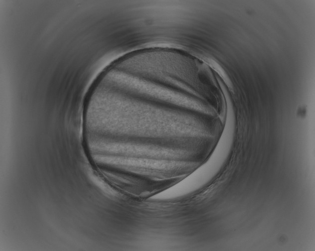 X0000092071132200710101013