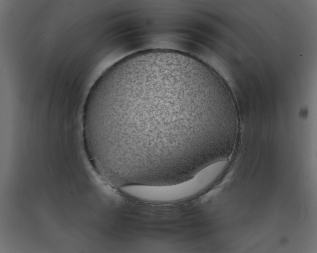 X0000092071133200710101013