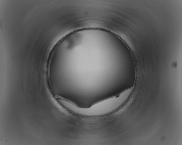 X0000092071134200710101013