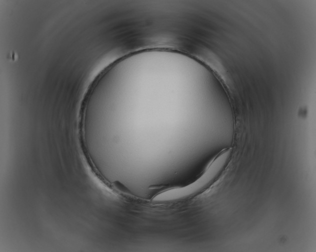 X0000092071135200710101013