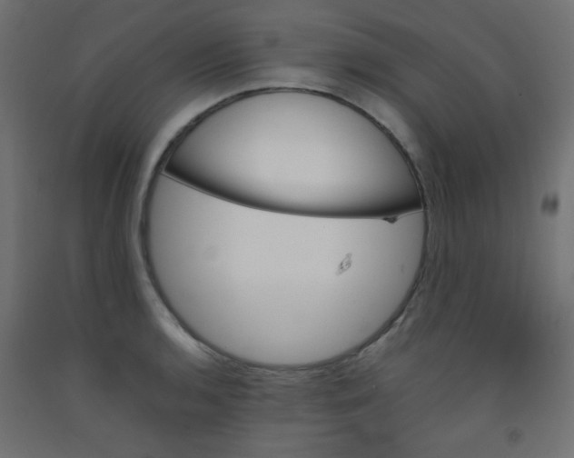 X0000092071136200710101013