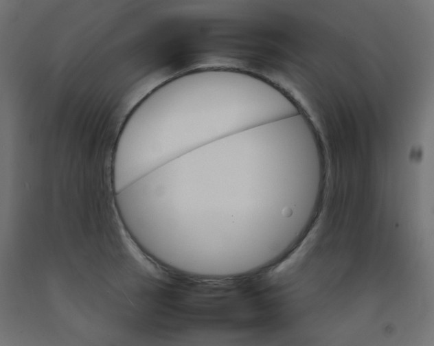X0000092071137200710101013