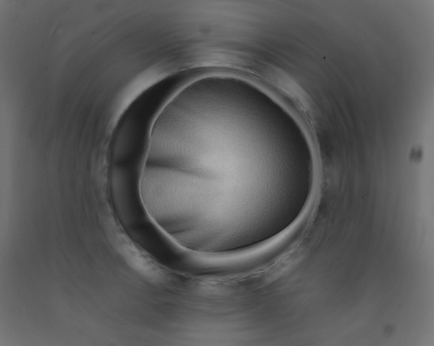 X0000092071138200710101013