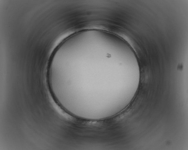 X0000092071139200710101013