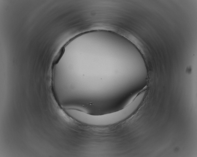 X0000092071140200710101013