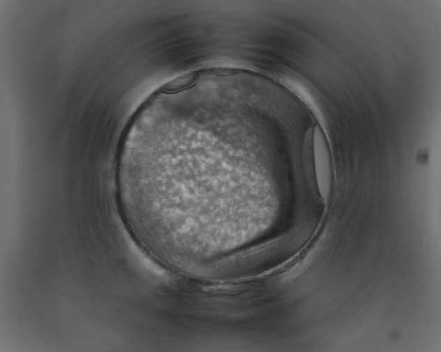 X0000092071141200710101013