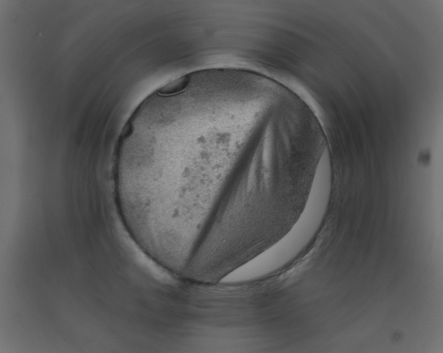 X0000092071142200710101013