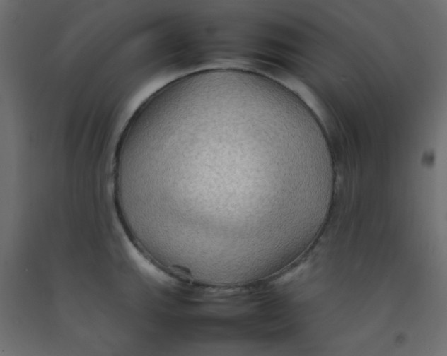 X0000092071143200710101013