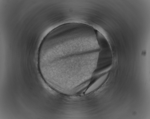 X0000092071144200710101013