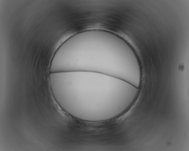 X0000092071145200710101013