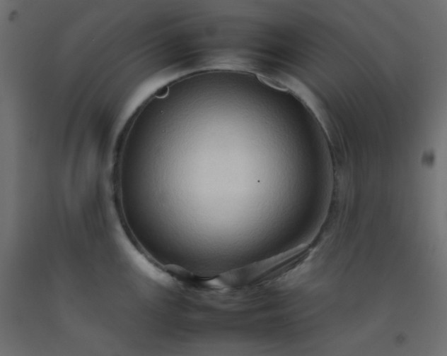 X0000092071147200710101013
