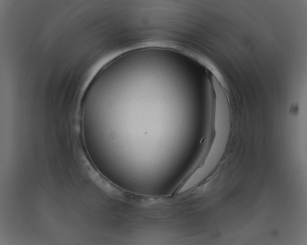 X0000092071148200710101013