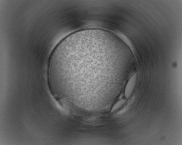 X0000092071149200710101013