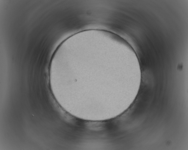 X0000092071150200710101013