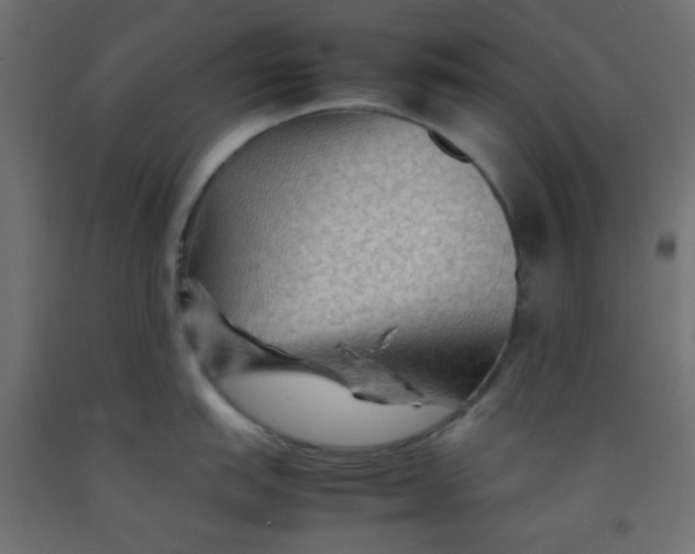 X0000092071151200710101013