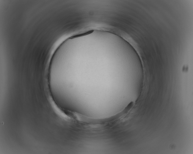 X0000092071152200710101013