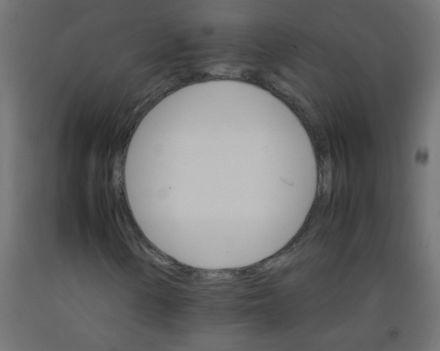 X0000092071154200710101012