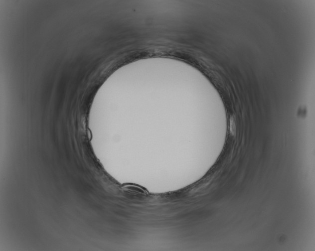 X0000092071155200710101012