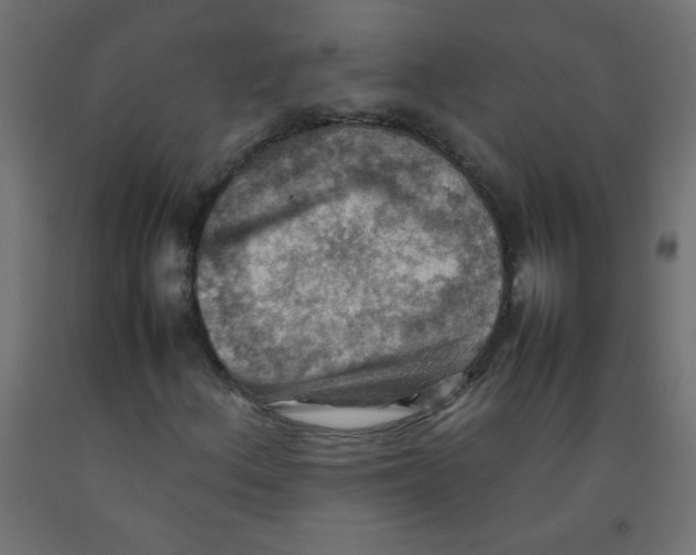 X0000092071156200710101012