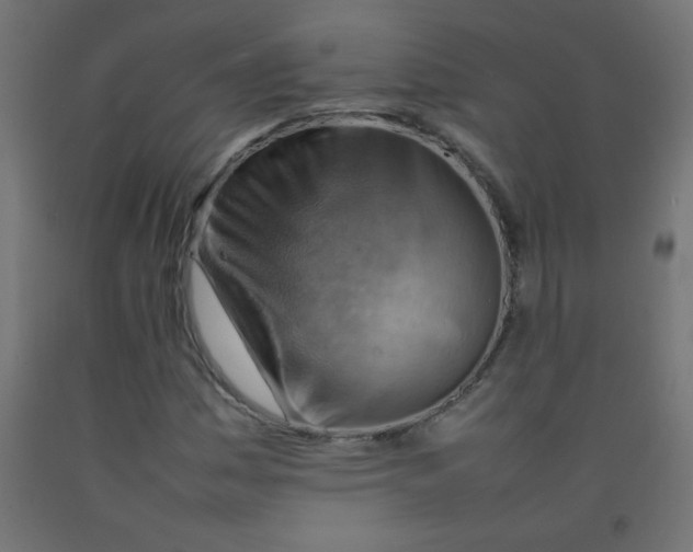 X0000092071161200710101012