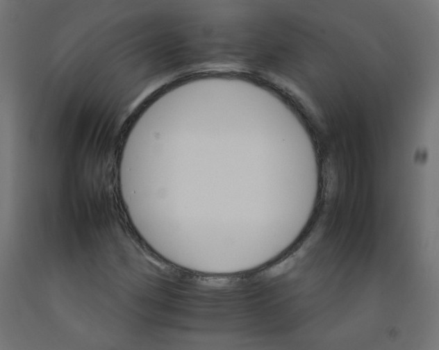 X0000092071162200710101012